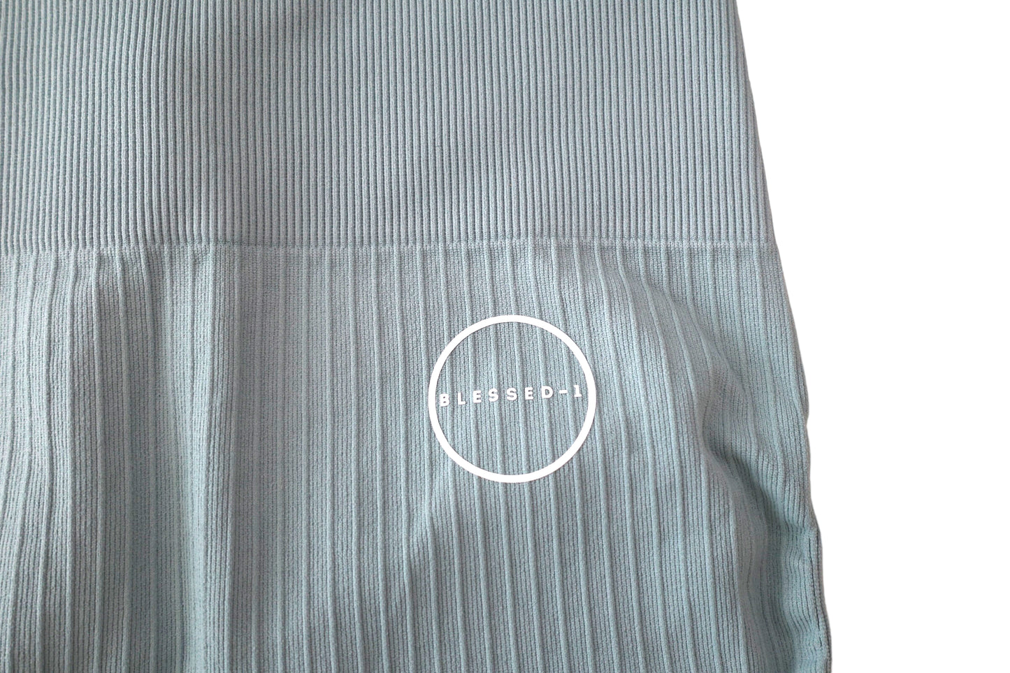 Seamless Ribbed Scrunch Shorts - BlueGrey