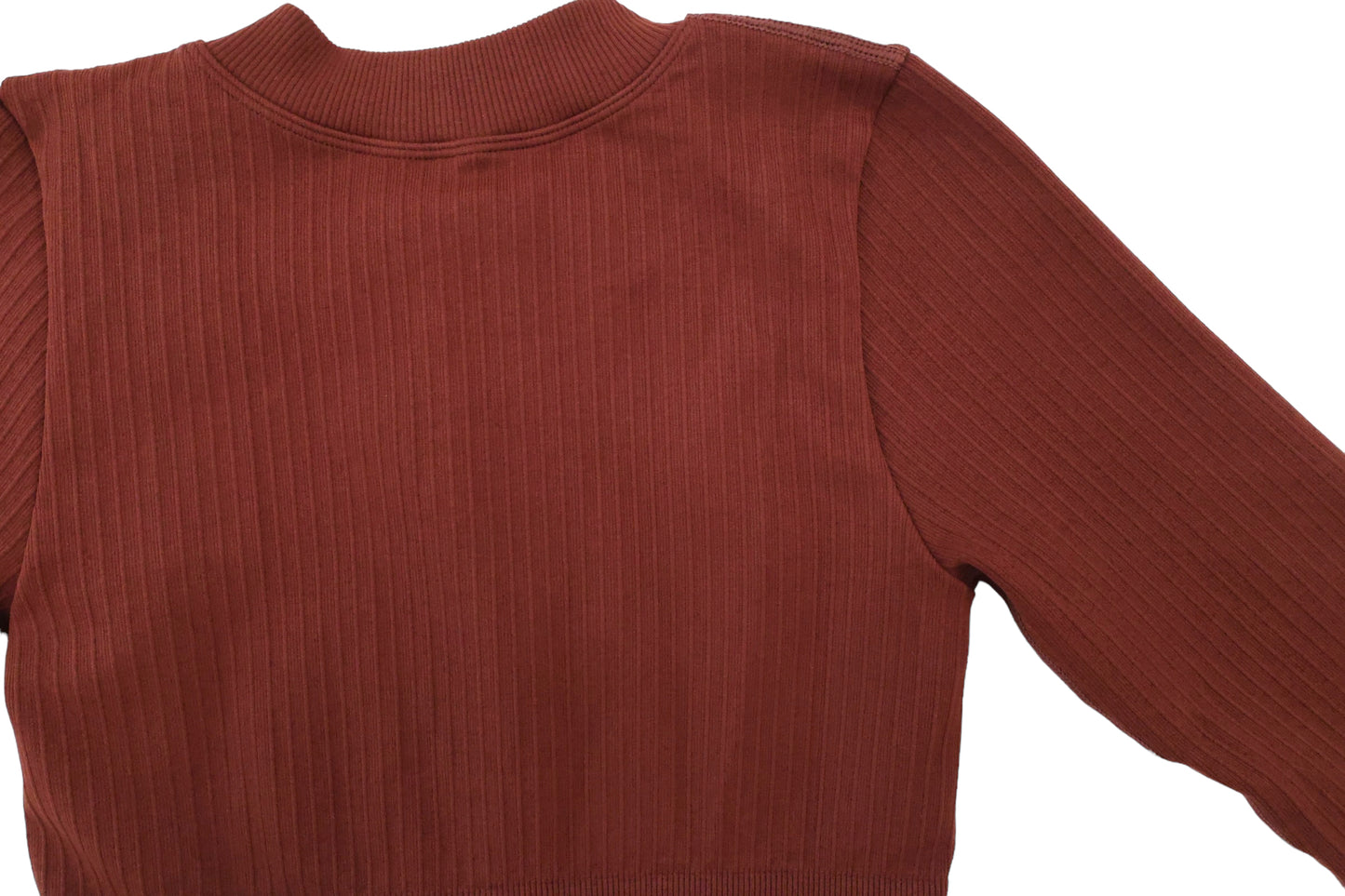 Seamless Ribbed Cropped Long Sleeve - Brown